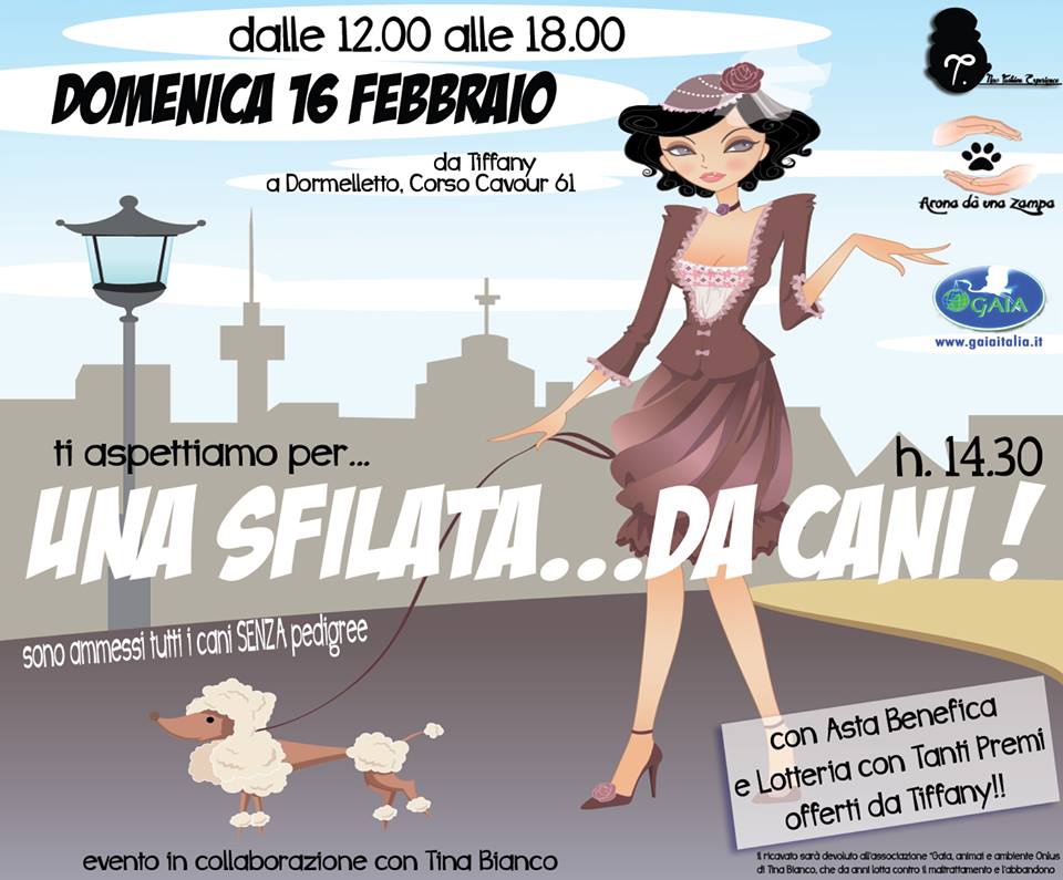 sfilata 16 febbraio 1800466_724471334244171_1068194111_n